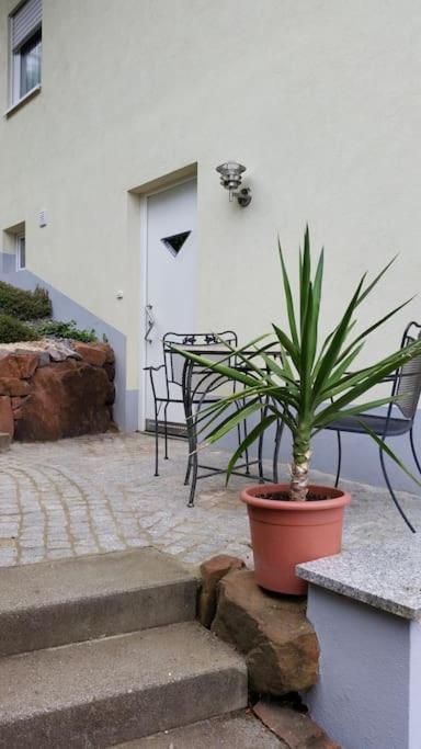 Ferienwohnung Talblick Im Schwarzwald Seelbach  Eksteriør bilde