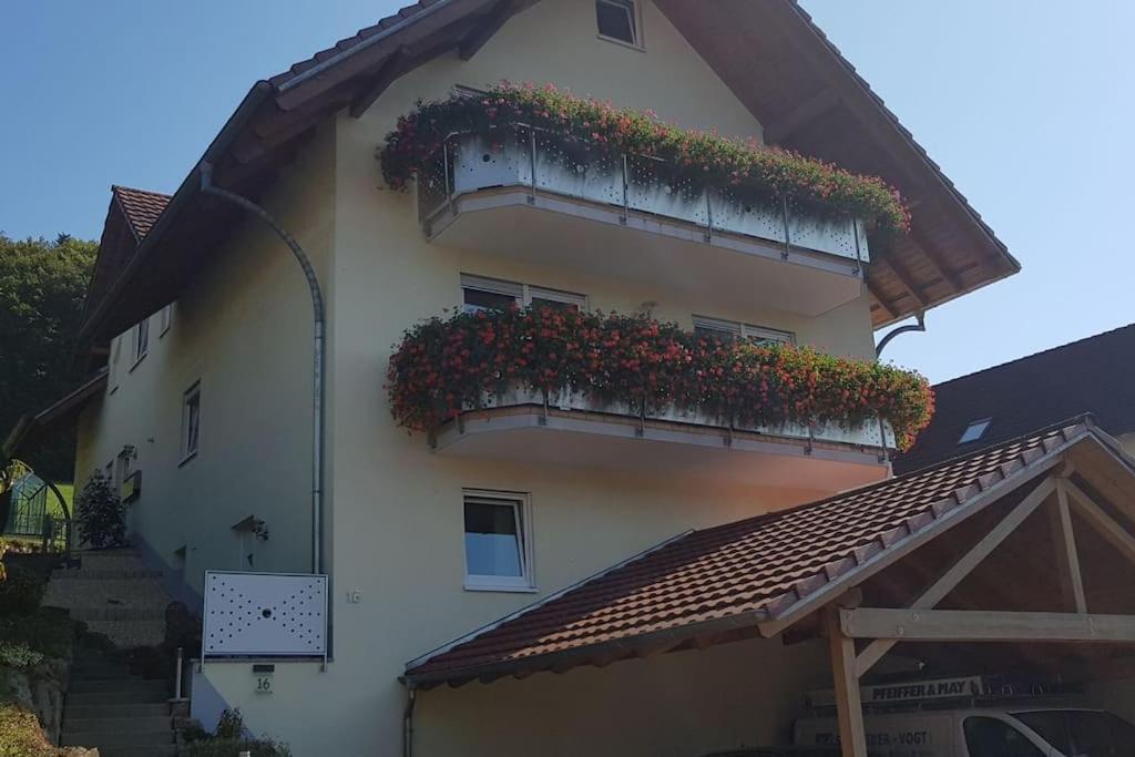 Ferienwohnung Talblick Im Schwarzwald Seelbach  Eksteriør bilde