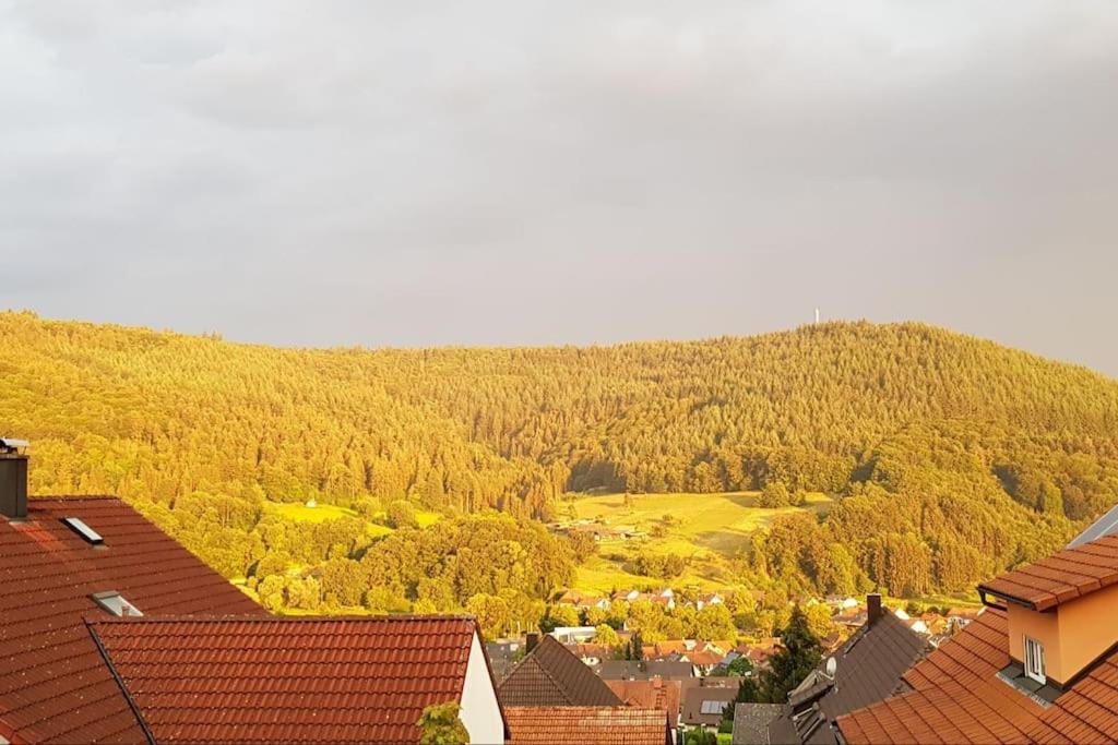 Ferienwohnung Talblick Im Schwarzwald Seelbach  Eksteriør bilde