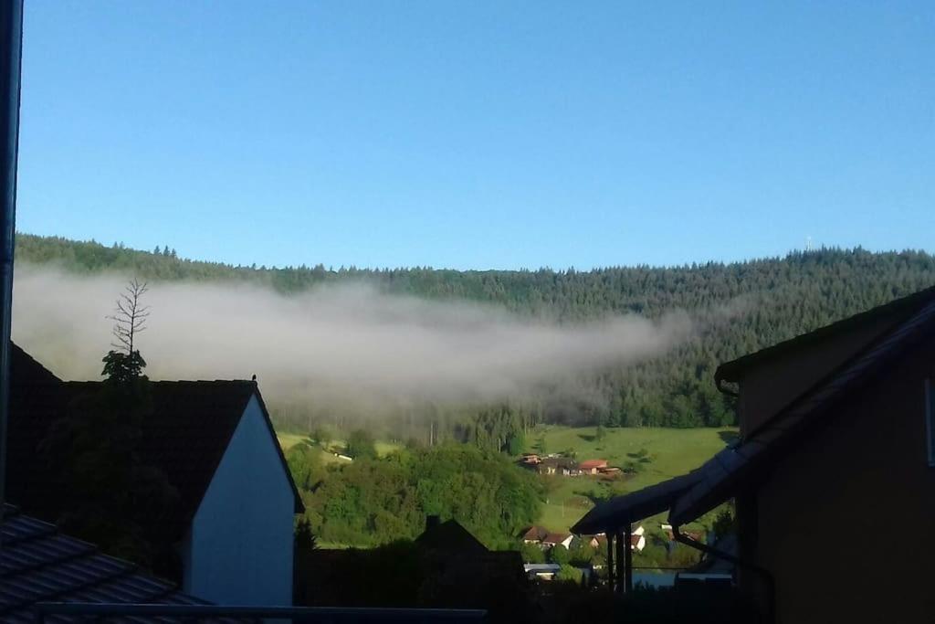 Ferienwohnung Talblick Im Schwarzwald Seelbach  Eksteriør bilde