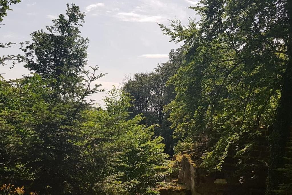 Ferienwohnung Talblick Im Schwarzwald Seelbach  Eksteriør bilde