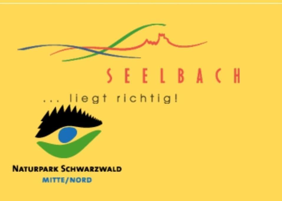 Ferienwohnung Talblick Im Schwarzwald Seelbach  Eksteriør bilde