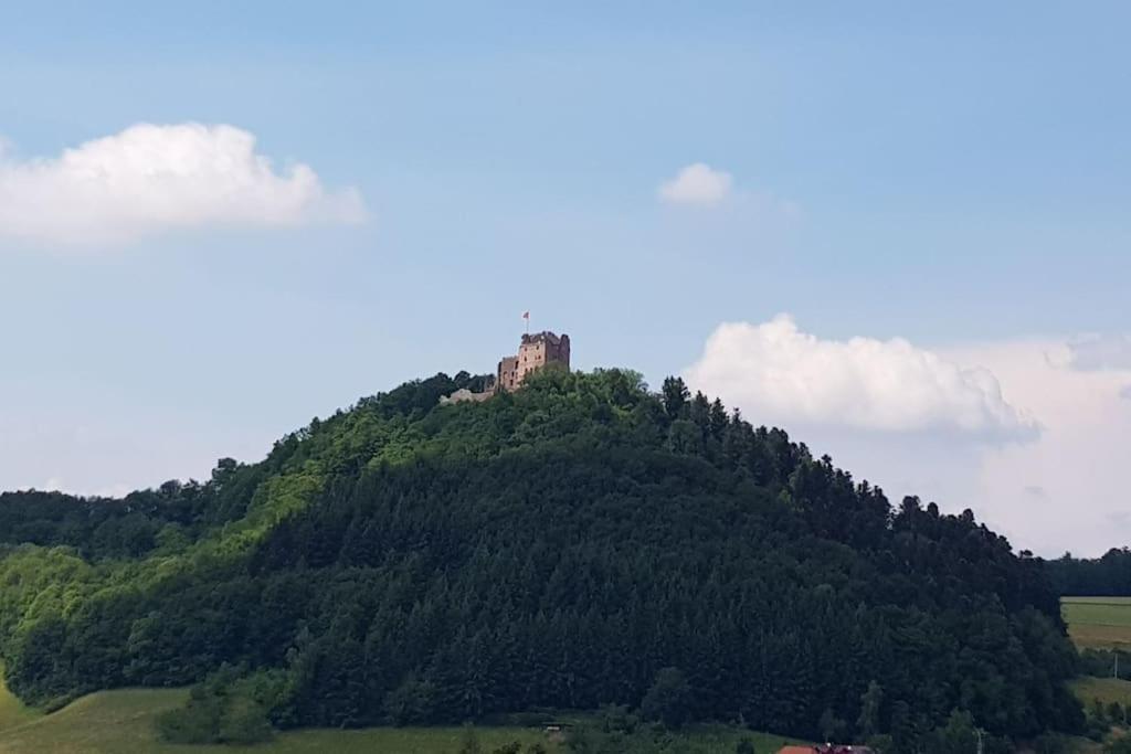Ferienwohnung Talblick Im Schwarzwald Seelbach  Eksteriør bilde