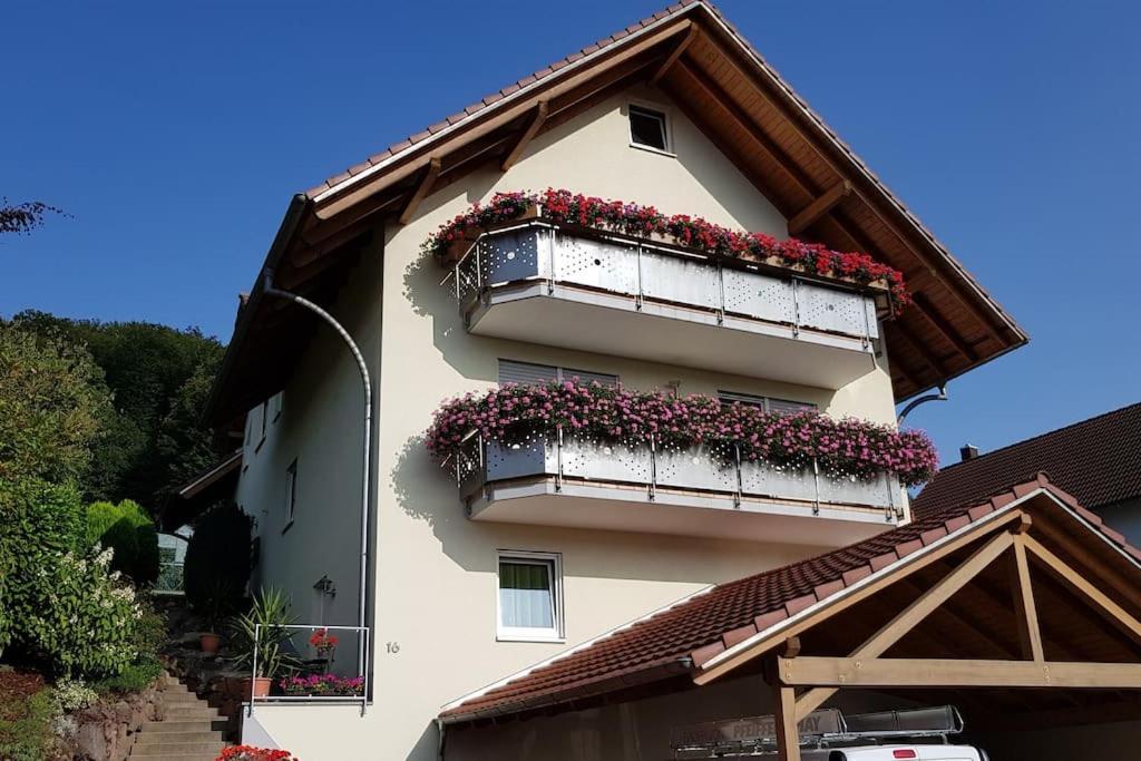 Ferienwohnung Talblick Im Schwarzwald Seelbach  Eksteriør bilde