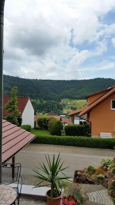 Ferienwohnung Talblick Im Schwarzwald Seelbach  Eksteriør bilde