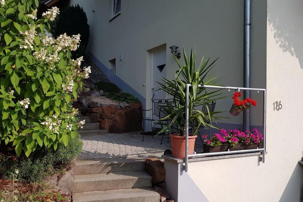 Ferienwohnung Talblick Im Schwarzwald Seelbach  Eksteriør bilde